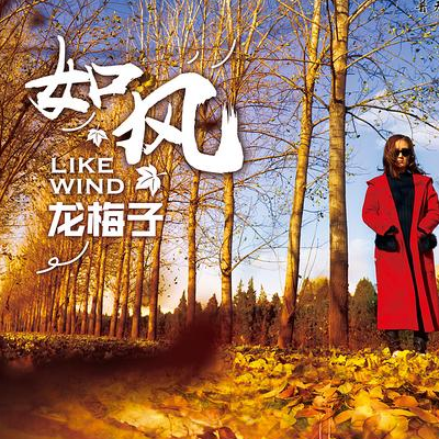 龙梅子 ·《如风》