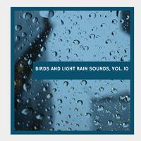 Birds and Light Rain Sounds, Vol. 10