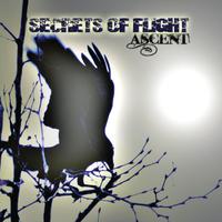 Secrets of Flight