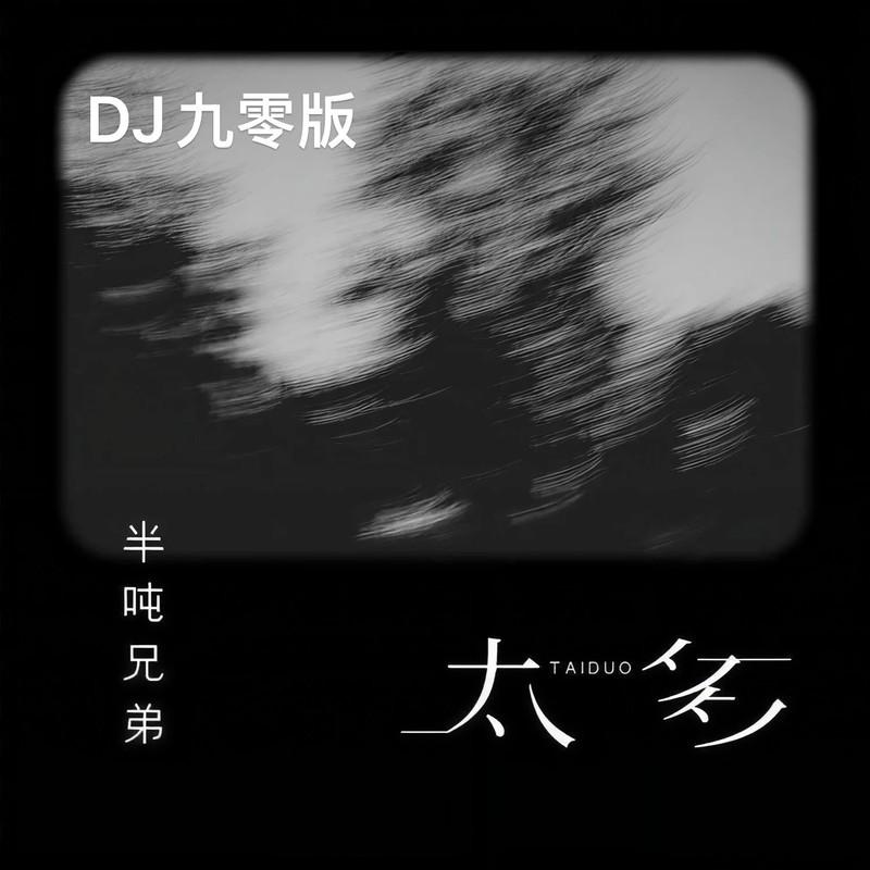 太多(DJ版)封面
