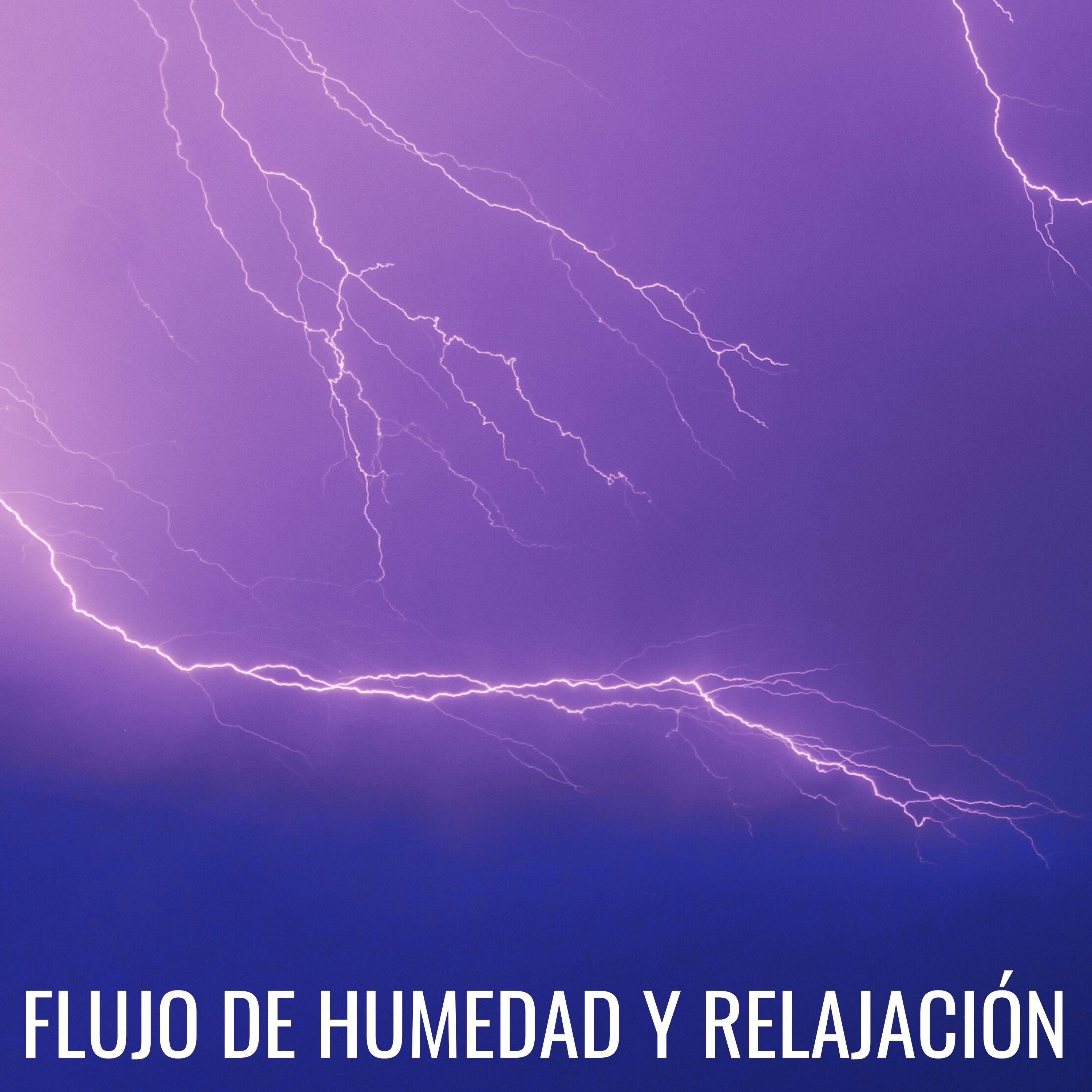 Un Clima Húmedo_Grabación de lluvia_Flujo De Humedad Y Relajación | 在线播放_Un Clima Húmedo歌词_Un Clima Húmedo下载 | 网易云音乐