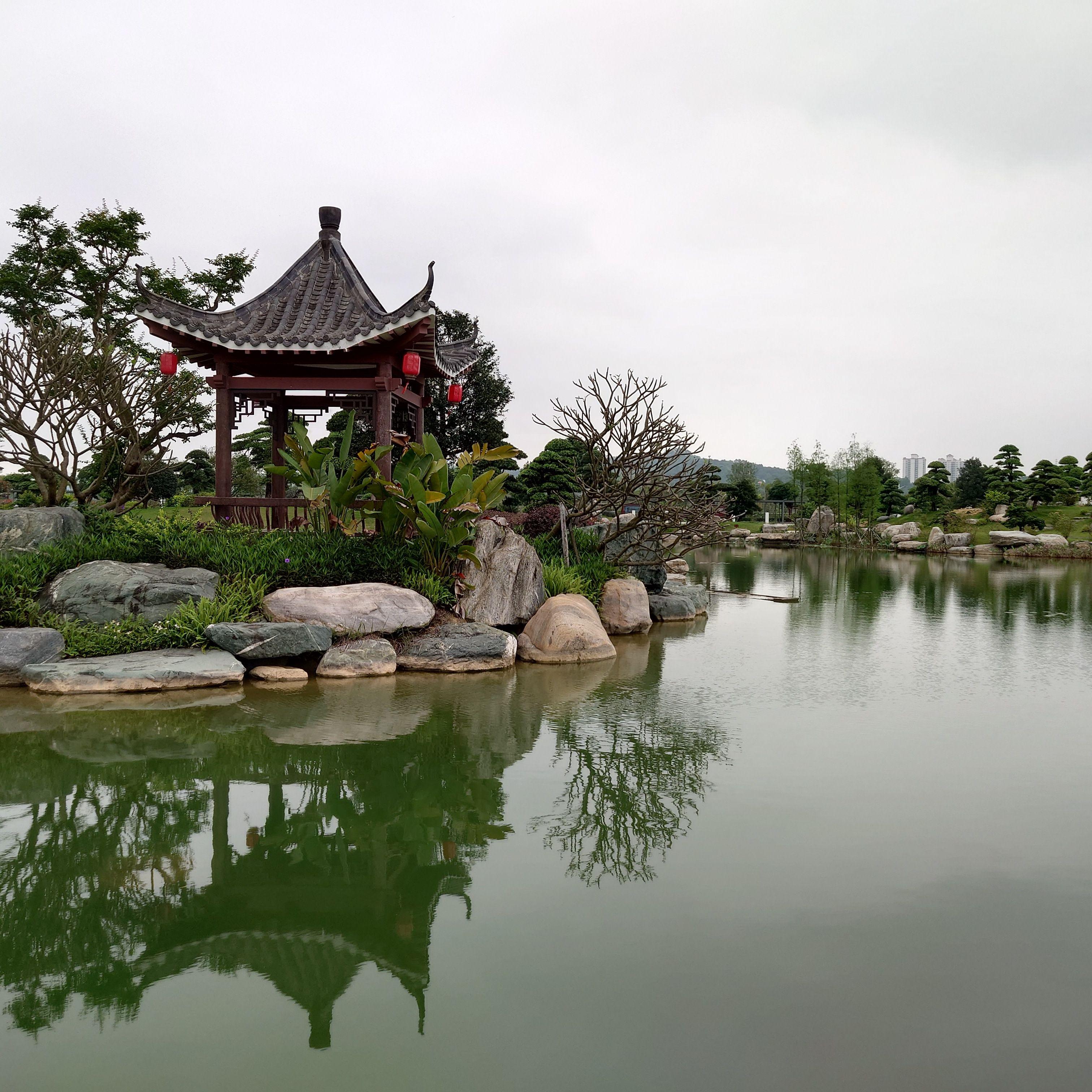 你是我的花朵封面