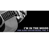 I'm in the Mood Slide Guitar Blues, Vol. 6