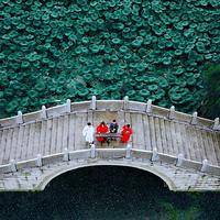 凑不齐乐队资料,凑不齐乐队最新歌曲,凑不齐乐队MV视频,凑不齐乐队音乐专辑,凑不齐乐队好听的歌