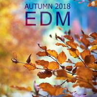 Autumn 2018 EDM