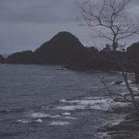 泽野千里