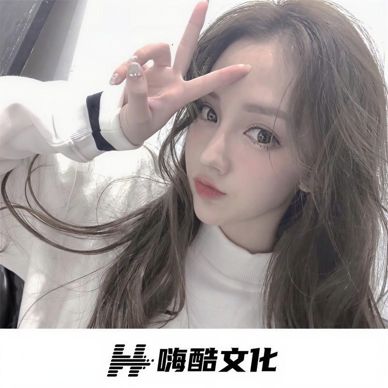 所念皆星河 (DJ版)封面