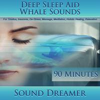 Whale Sounds (Deep Sleep Aid) [For Tinnitus, Insomnia, De-Stress, Massage, Meditation, Holistic Healing, Relaxation] [90 Minutes]