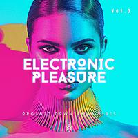 Electronic Pleasure, Vol. 3 (Organic Downtempo Vibes)