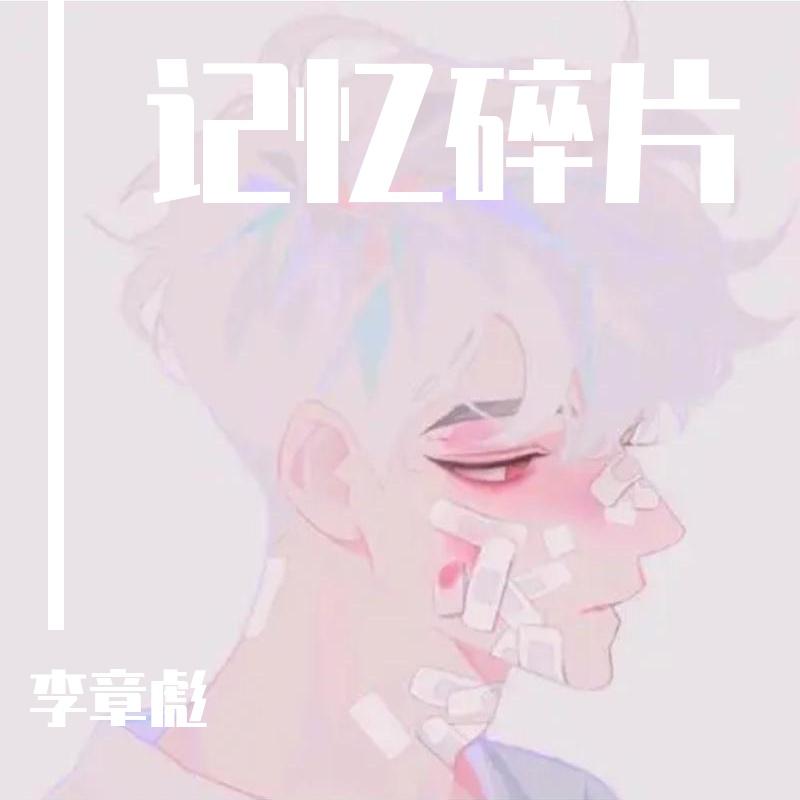 记忆碎片封面
