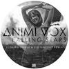 Animi Vox - Falling Stars (Florian Shipke & Kid Vincent Radio Mix)