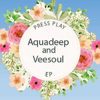 Aquadeep, Veesoul