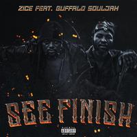 See Finish (feat. Buffalo Souljah)