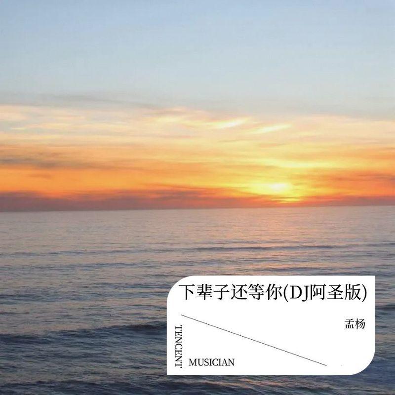下辈子还等你 (DJ阿圣版)封面