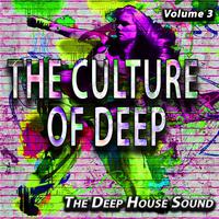 The Culture Of Deep, Vol. 3 (The Deep House Sound)