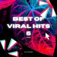 Best Of Viral Hits 5 (Remix)