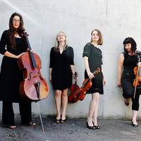Aurora Strings