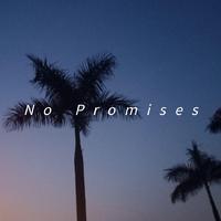 No Promises (Remix) [Radio Edit]