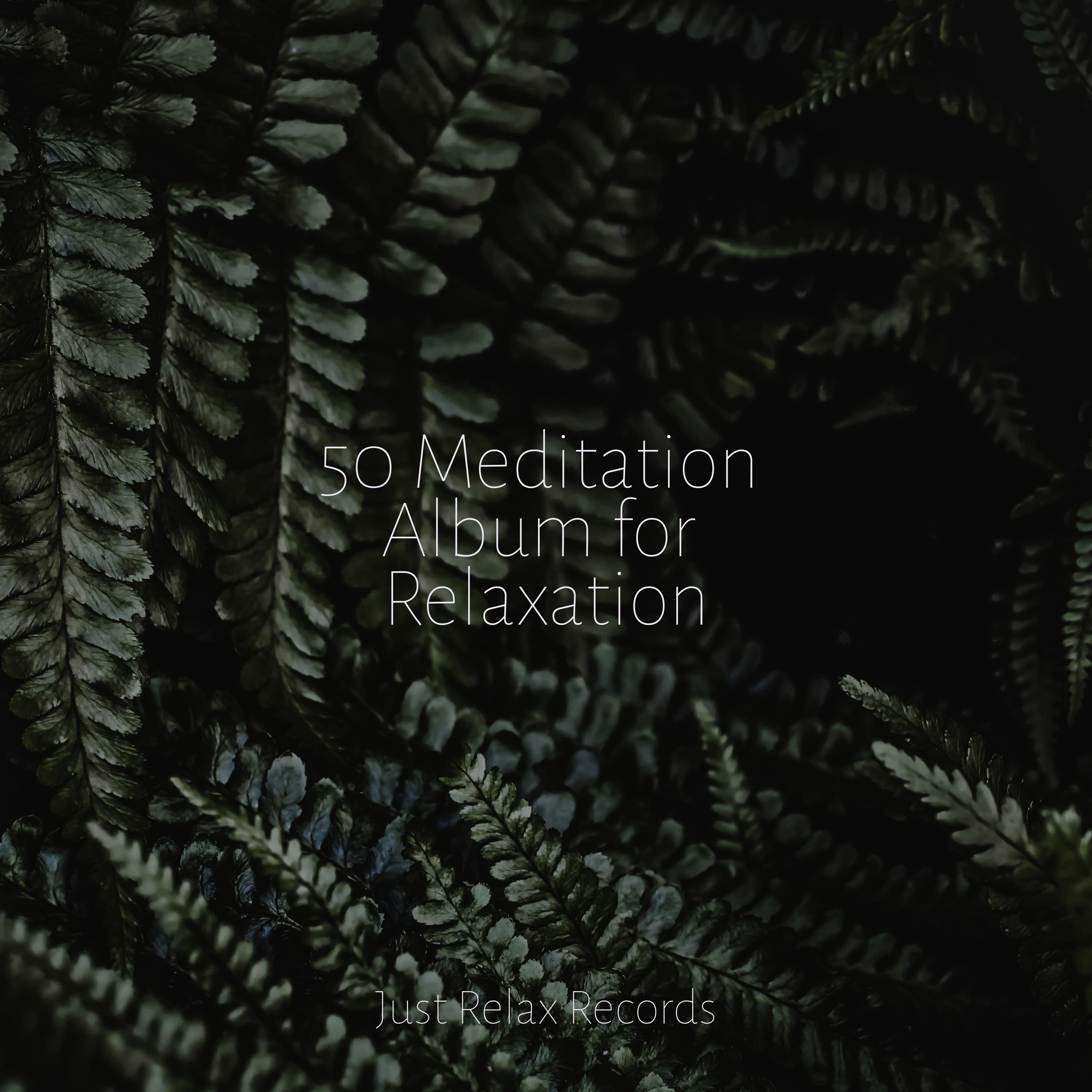 Spellbound Waterscape Música Relajante para Bebés/Soothing Sounds