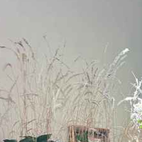 Michta资料,Michta最新歌曲,MichtaMV视频,Michta音乐专辑,Michta好听的歌