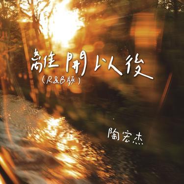 离开以后 (R&B版)封面