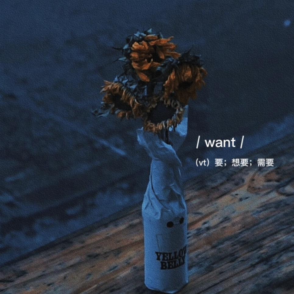 只是不爱了 伴奏封面