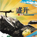 开场结尾秀