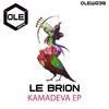 Le Brion - Amata (Original Mix)