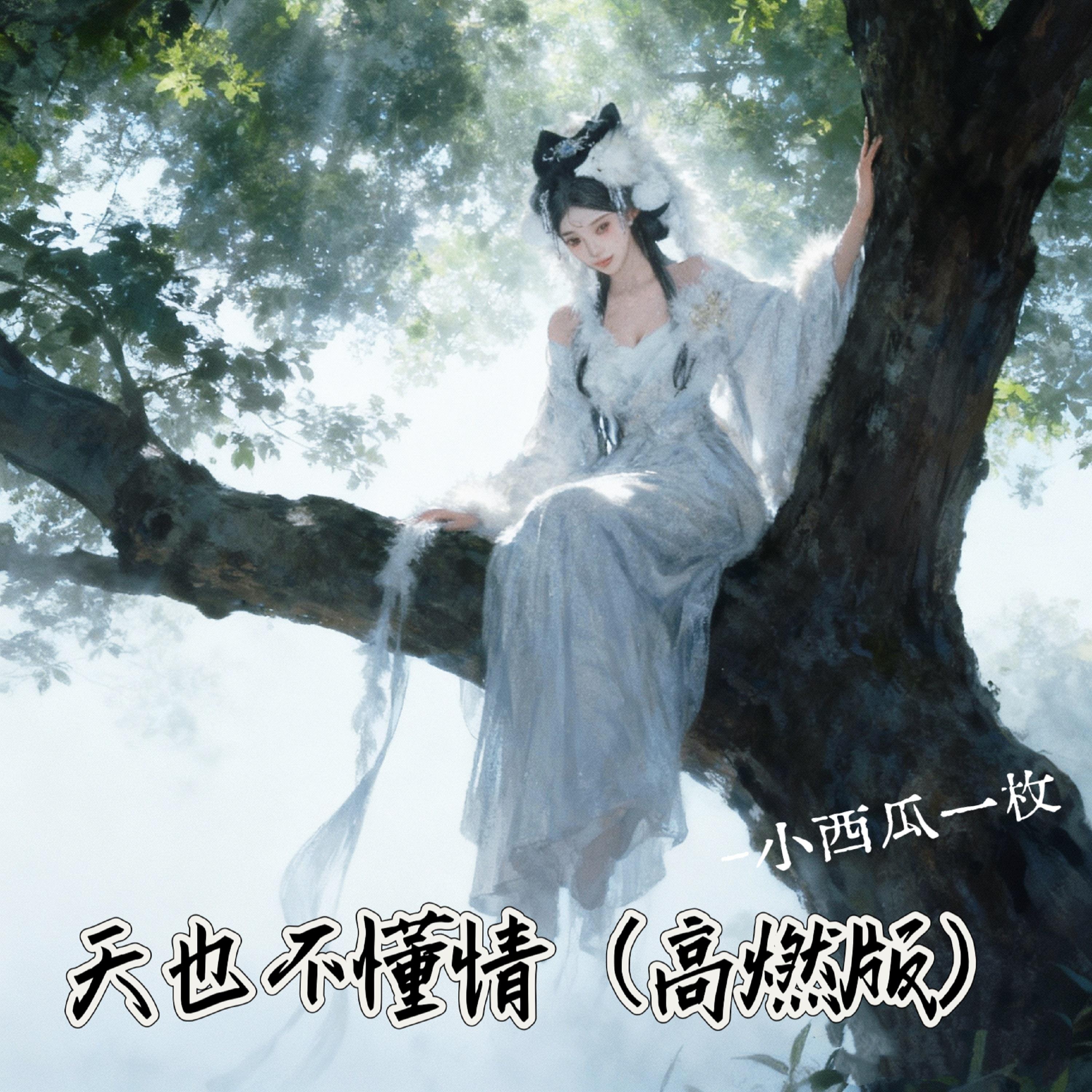 天也不懂情 (高燃版)封面