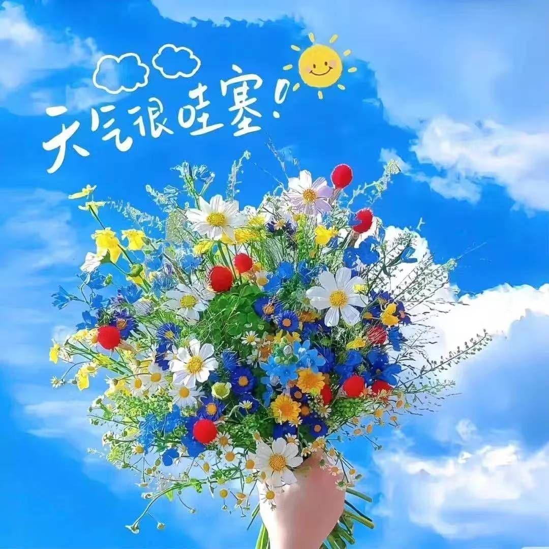 也许该怎样封面