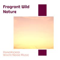 Fragrant Wild Nature - Handpicked White Noise Music