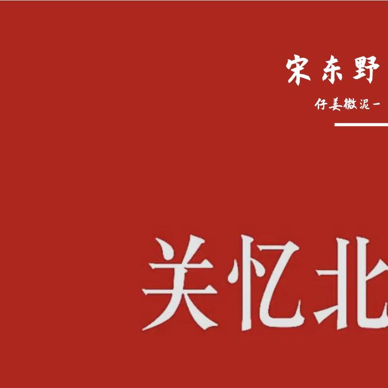 关忆北封面
