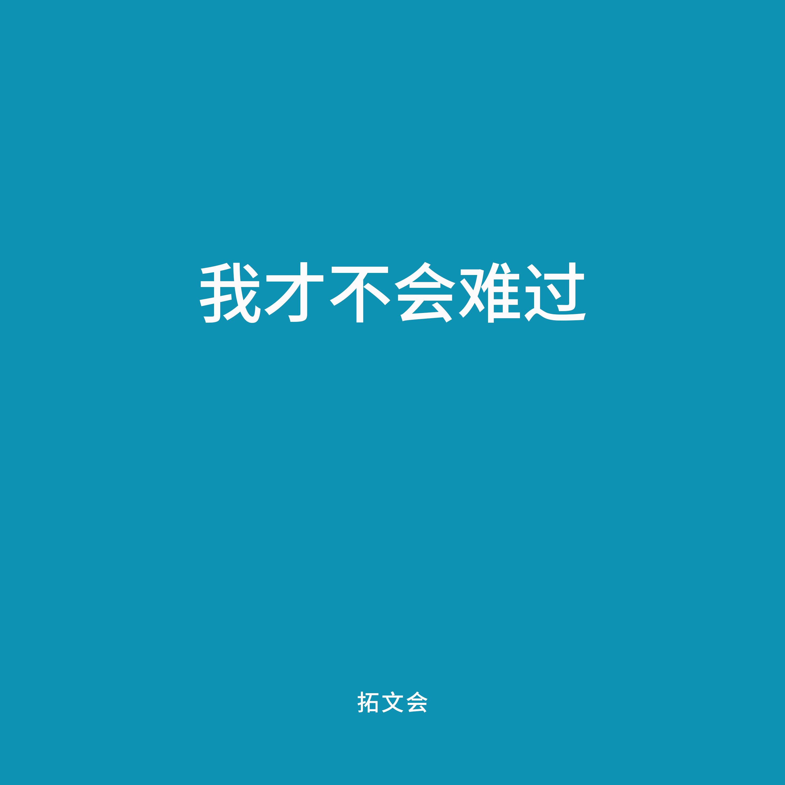 无处安放 (伴奏)封面