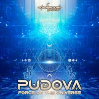 Force Of the Universe