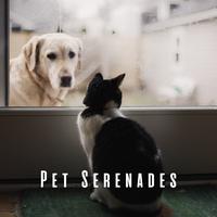 Pet Serenades: Dreamy Lofi Melodies for Pets' Calm