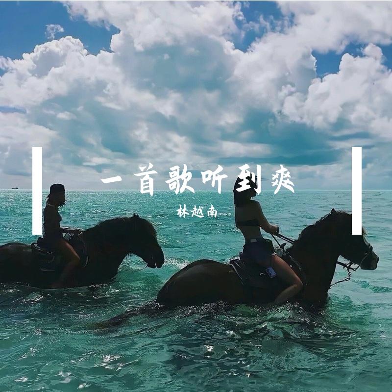 DJ林越南-Funky音乐是否我真的一无所有无名的人玫瑰DJ串烧舞曲封面