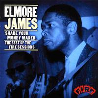 Shake Your Money Maker: The Best of the Fire Sessions