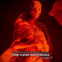 Eine Kleine Nachtmusik vol 5