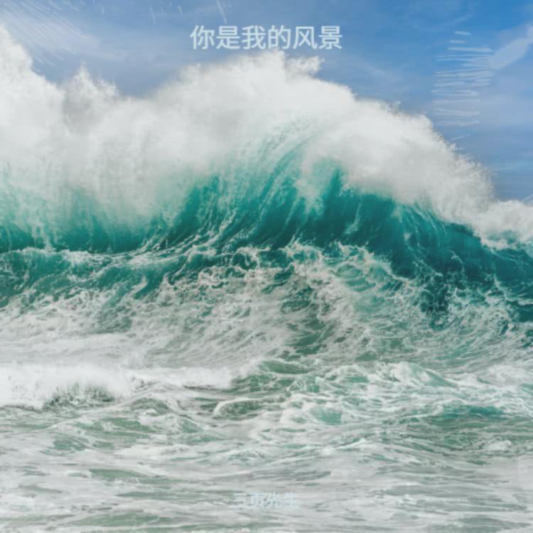 你是我的风景（爱让悬崖变平地生出森林）封面