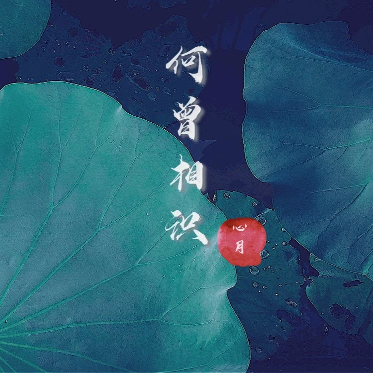 何曾相识 (完整版)