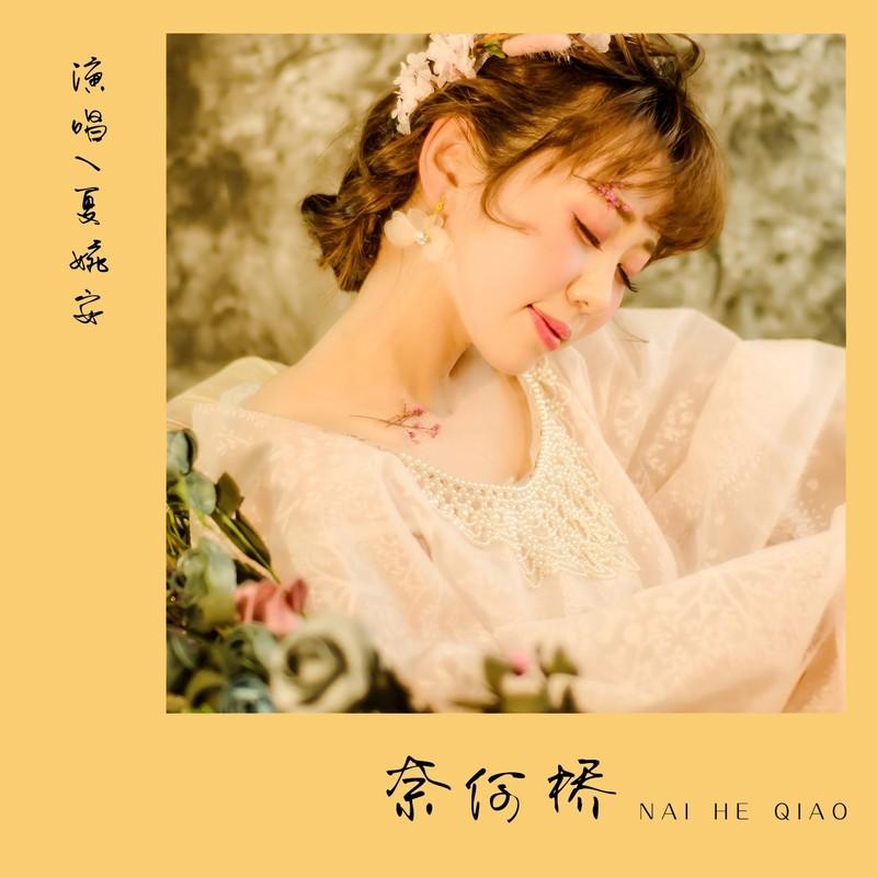 奈何桥 (DJ版)封面