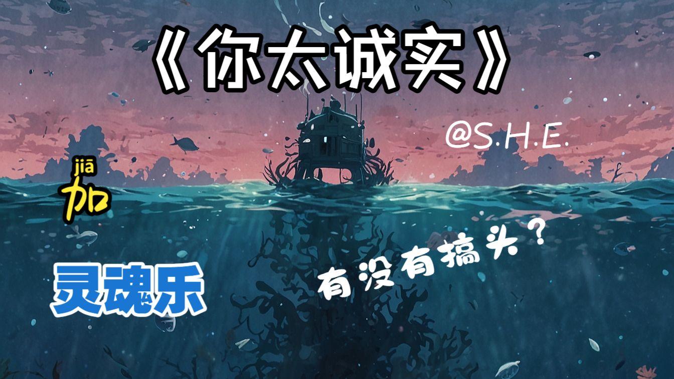 你太诚实封面