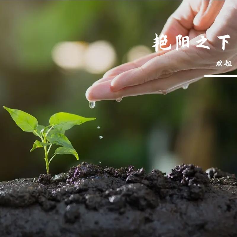 海盗船 伴奏封面