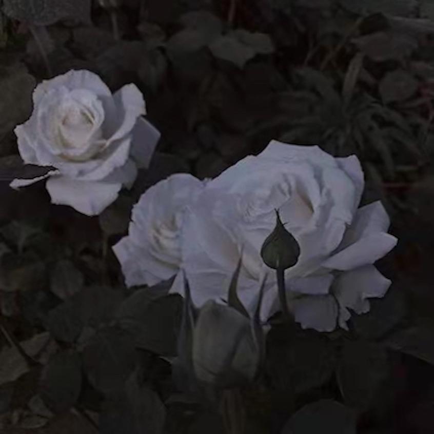 【Free】“念”Pop Type Beat