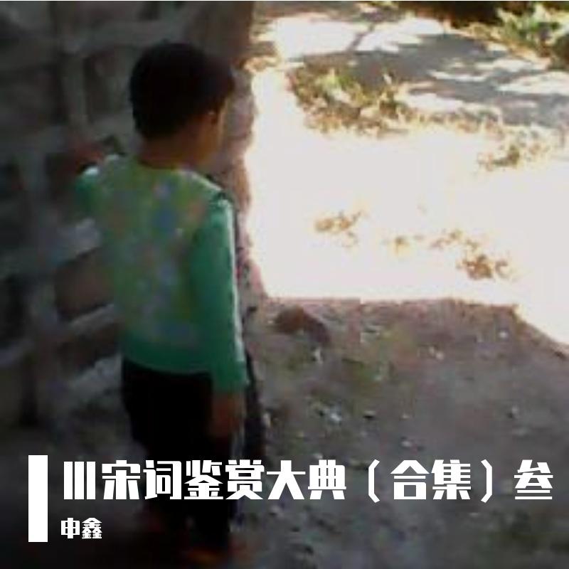 CⅩⅩⅣ叁宋词鉴赏大典（壹佰贰拾肆）浣溪沙、霓裳中序第一、庆宫春、齐天乐、满江红、一萼红