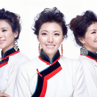 雪莲三姐妹资料,雪莲三姐妹最新歌曲,雪莲三姐妹MV视频,雪莲三姐妹音乐专辑,雪莲三姐妹好听的歌