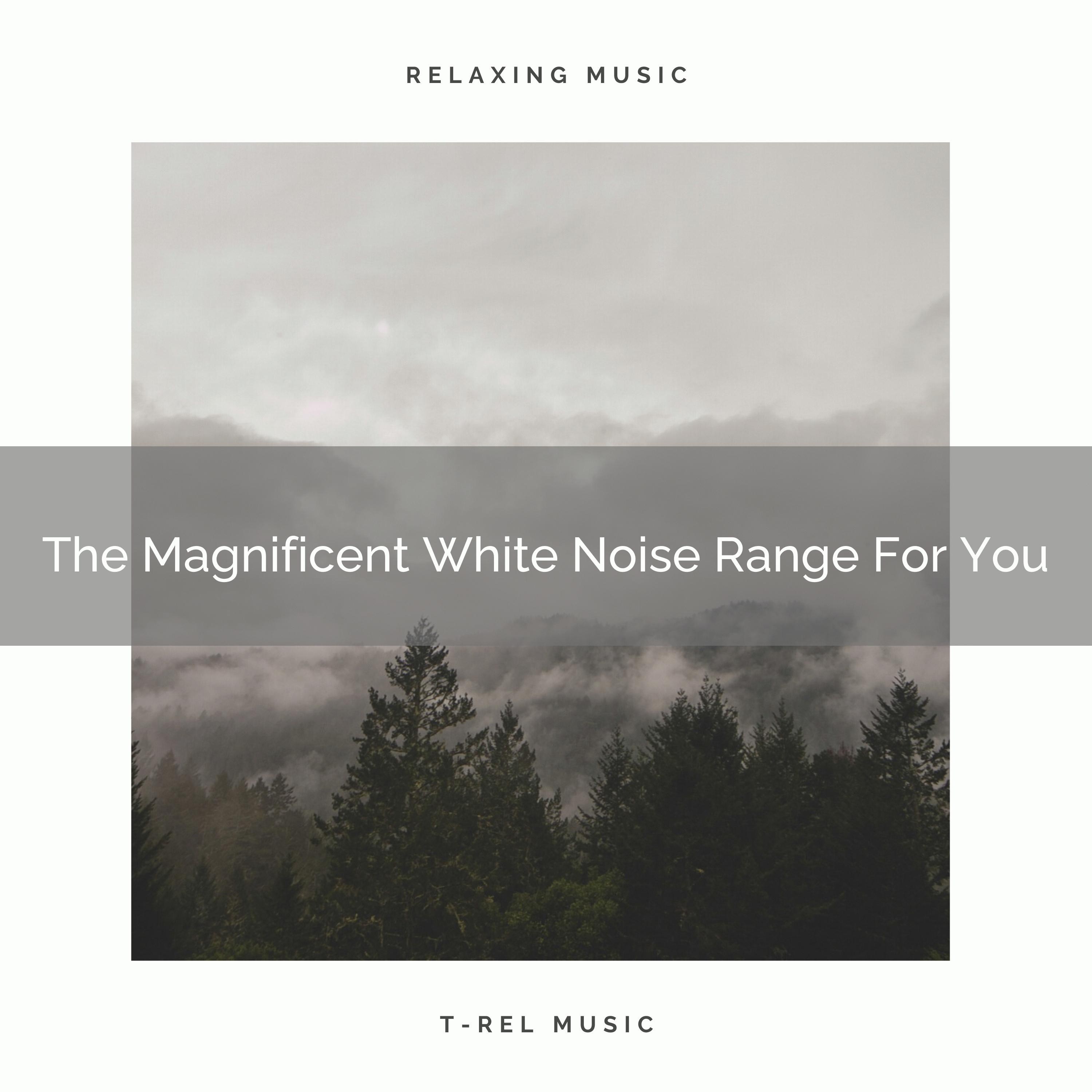 The Magnificent White Noise Range For Good Sleep