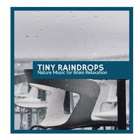 Tiny Raindrops - Nature Music for Brain Relaxation