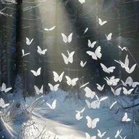 小露资料,小露最新歌曲,小露MV视频,小露音乐专辑,小露好听的歌