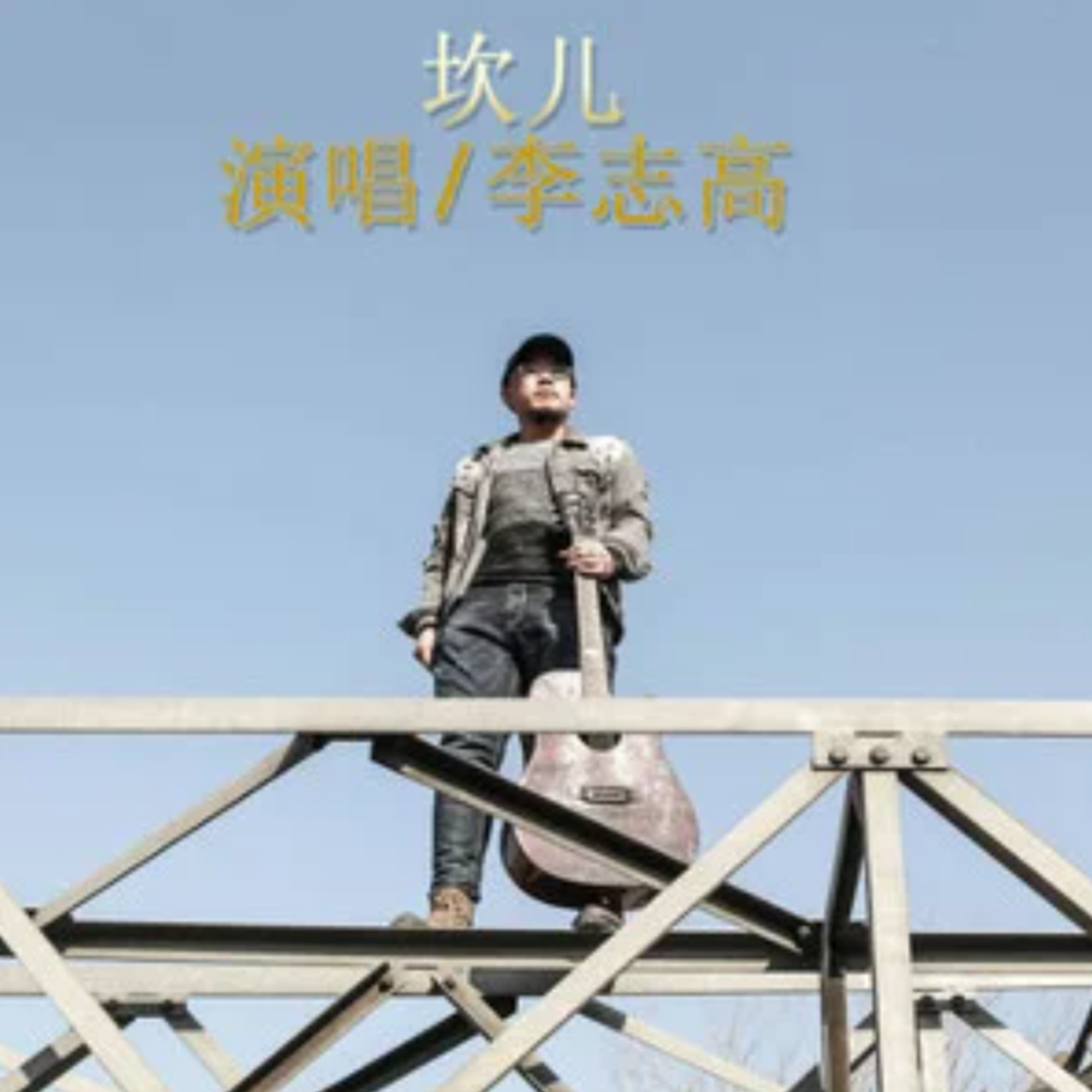 坎儿（新版） - 李志高封面
